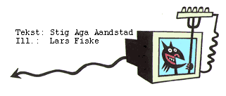 Av: Stig Aga Aandstad (Tekst), Lars Fiske (Ill.)